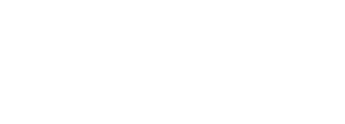 el matador